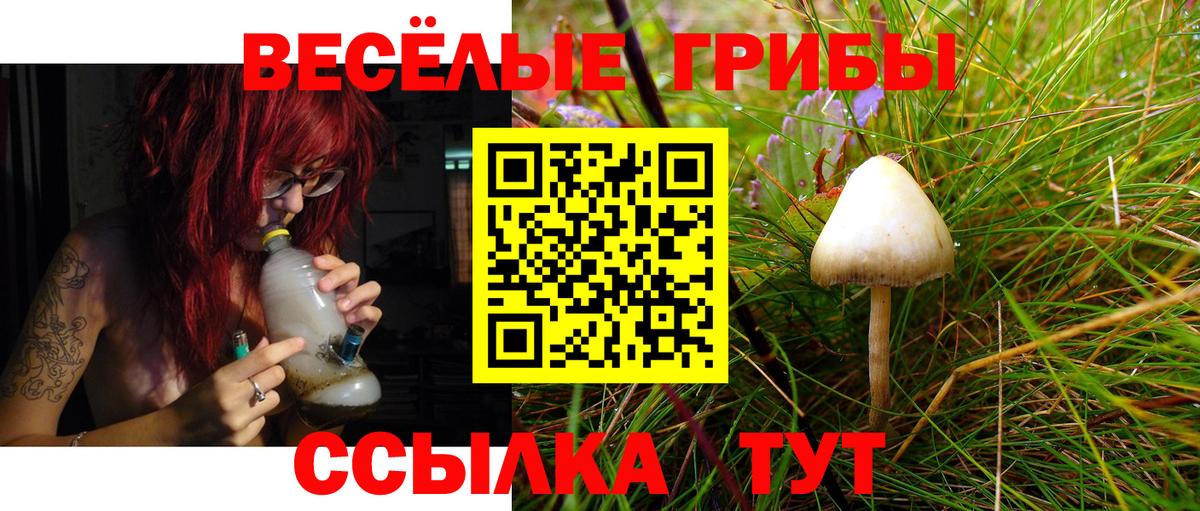 Галлюциногенные грибы Magic Shrooms Кызыл